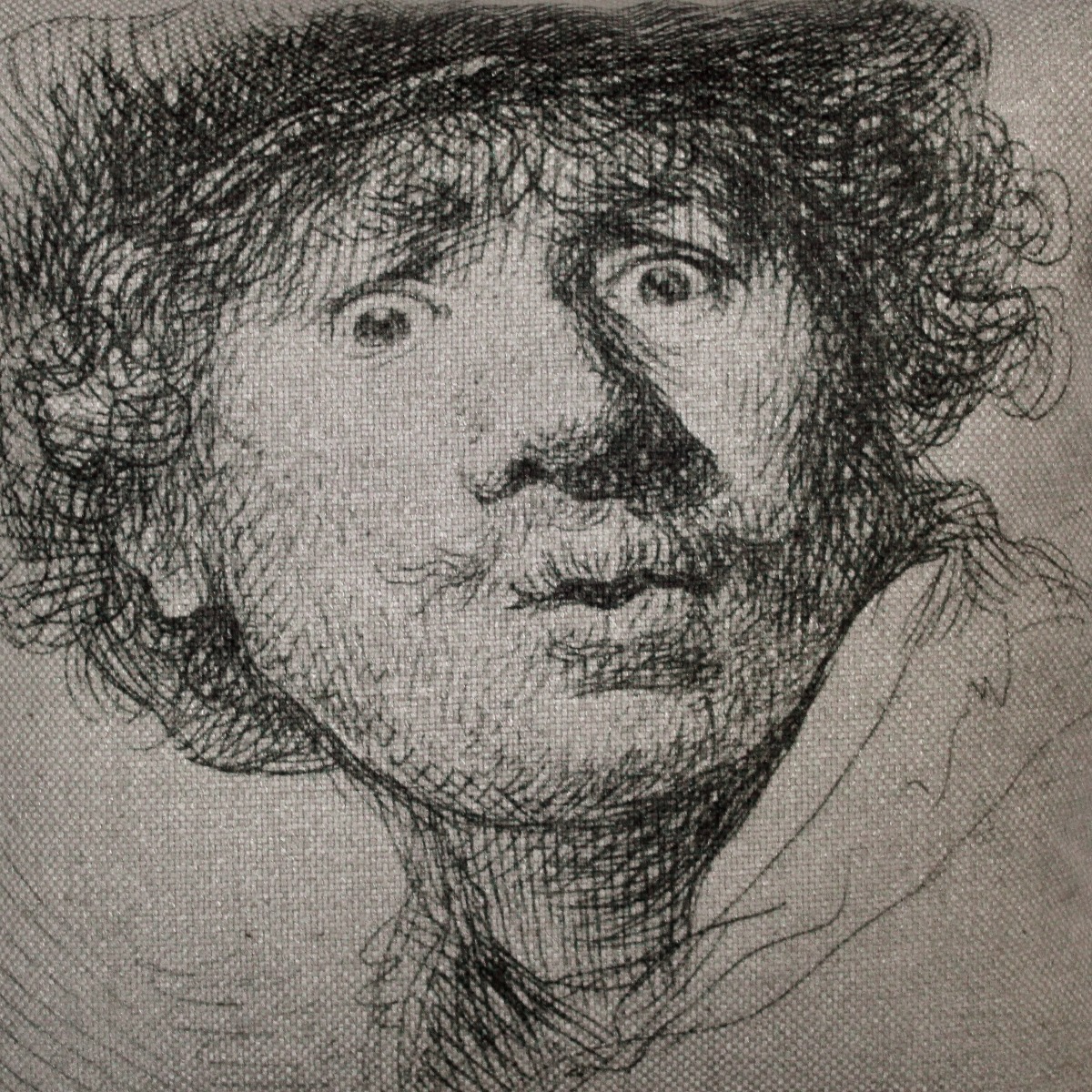 Raaf - Sierkussen Rembrandt