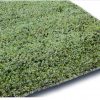 Carpet Salsa